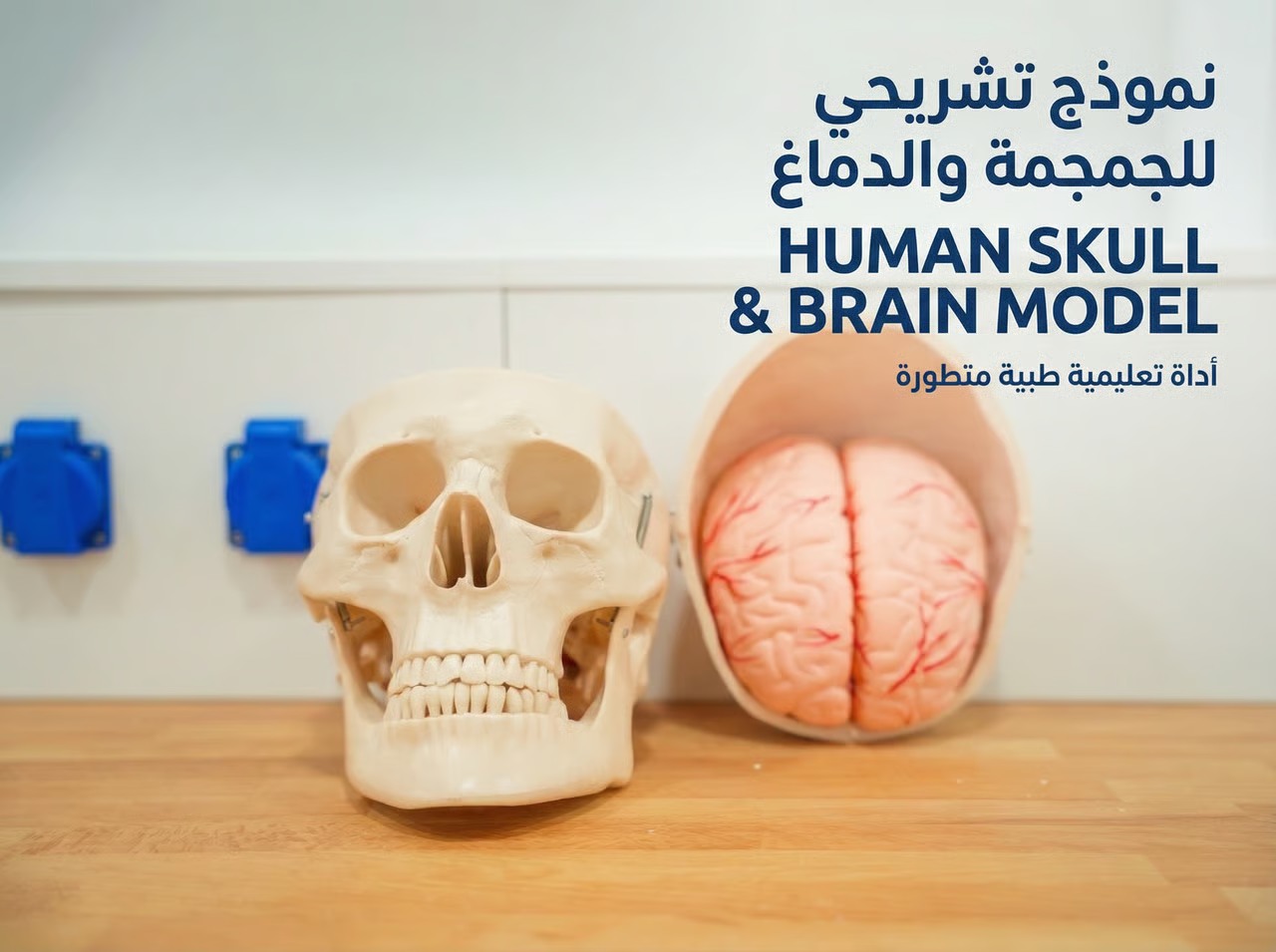 معامل تعليمية بطراز متقدم داخل جامعة أبولونيا للعلوم الطبية (لقطة إضافية)