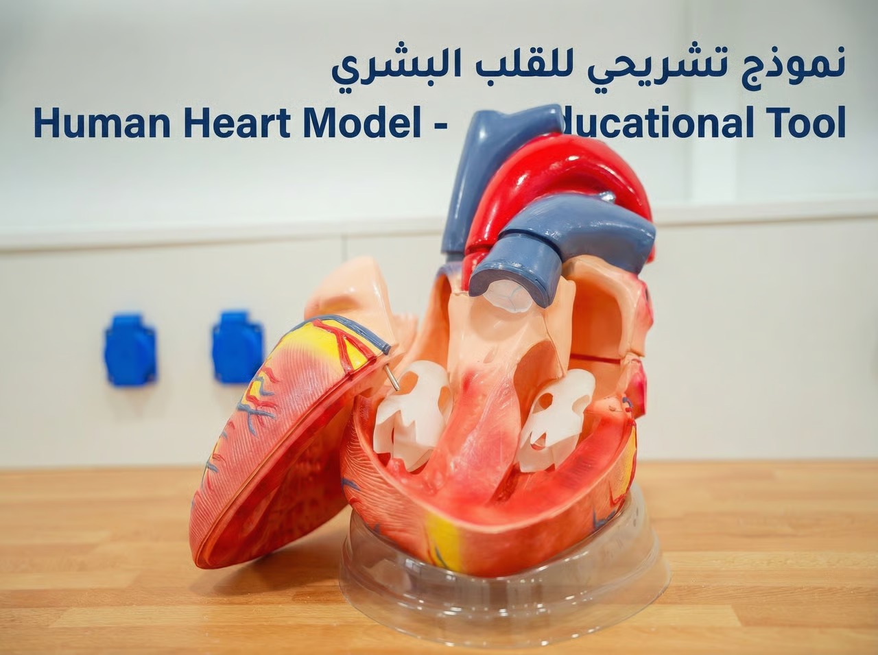معامل تعليمية بطراز متقدم داخل جامعة أبولونيا للعلوم الطبية (لقطة إضافية)
