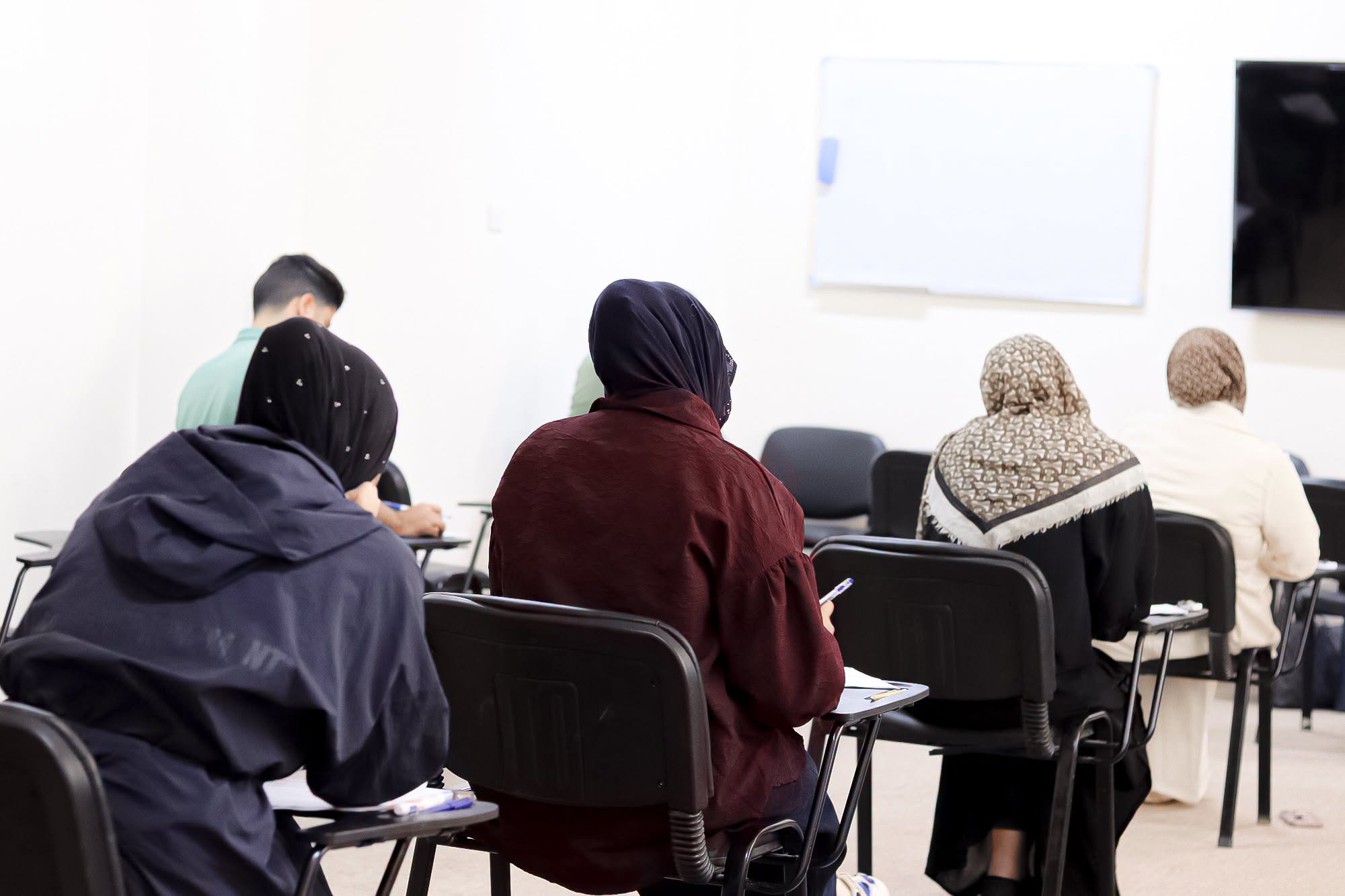 صورة المقال