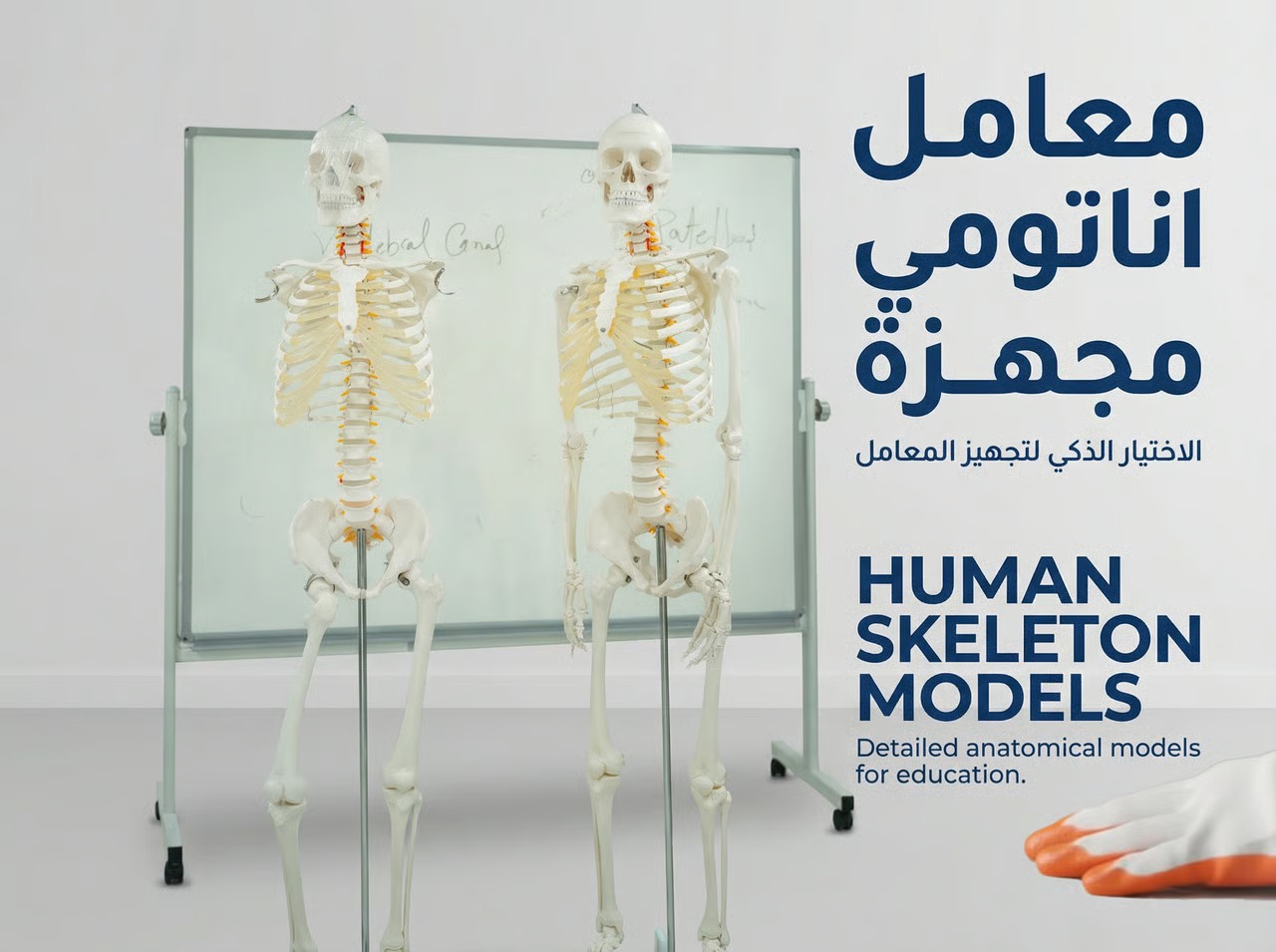 معامل تعليمية بطراز متقدم داخل جامعة أبولونيا للعلوم الطبية